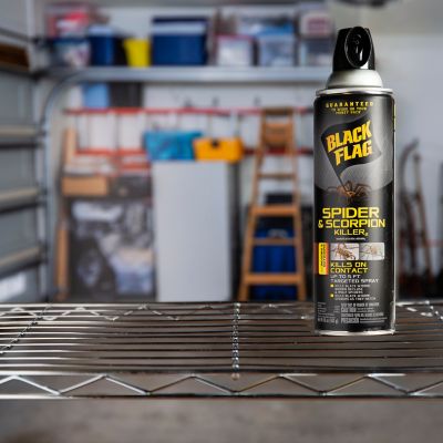 Image showing  16 oz. Spider and Scorpion Killer Spray