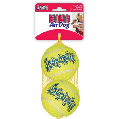 Image showing  SqueakAir Ball Dog Toy