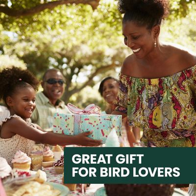 Image showing 8 th Perky-Pet 10 oz. Antique Hummingbird Feeder, Green