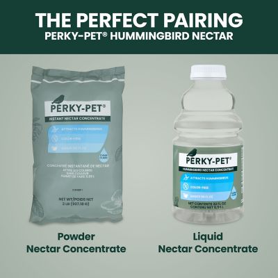 Image showing 9 th Perky-Pet 10 oz. Antique Hummingbird Feeder, Green