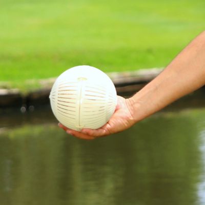 Image showing  Healthy Ponds AquaSpherePRO Pond Treatment, 0.81 lb.