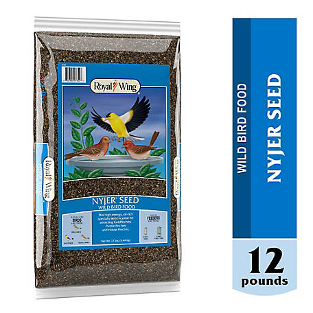 MALTBYS STORES 25KG NIGER/NYJER SEED FOR WILD BIRDS THE UKS TRUSTED BRAND SINCE 1904
