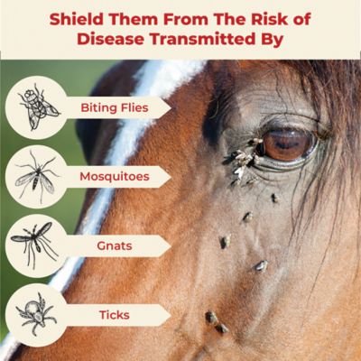 Image showing  UltraShield Red Insecticide and Repellent for Horses, 32 oz.