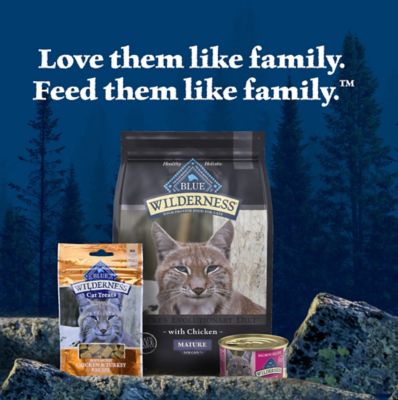 Image showing 8 th Blue Buffalo Wilderness Adult Grain-Free Salmon Pate Wet Cat Food, 5.5 oz. Can