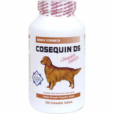 Cosequin DS Chewable Digestion Supplement Tablets for Dogs, 250 ct.