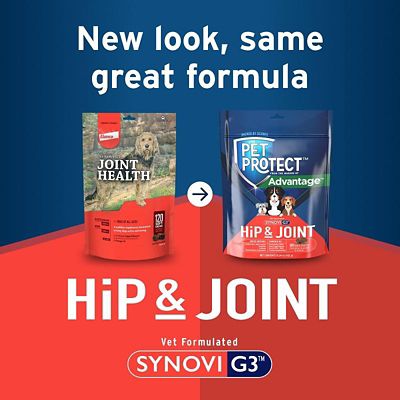 Image showing  G3 Joint Health Soft Chews for Dogs