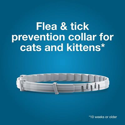 Image showing  Vet-Recommended Flea and Tick Treatment/Prevention Collar for Cats, 8 Months Protection