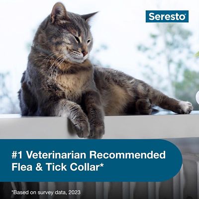 Image showing  Vet-Recommended Flea and Tick Treatment/Prevention Collar for Cats, 8 Months Protection