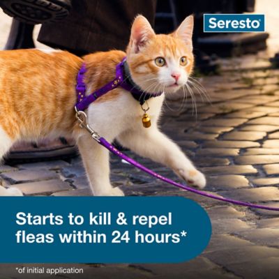 Image showing 6 th Seresto Vet-Recommended Flea and Tick Treatment/Prevention Collar for Cats, 8 Months Protection