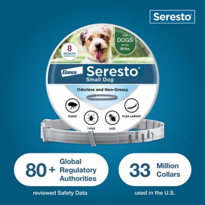 Image showing 6 th Seresto Flea and Tick Collar for Small Dogs Up to 18 lb.
