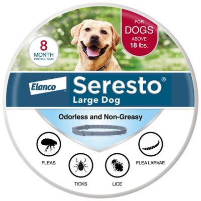 Seresto Large Dog Vet-Recommended Flea & Tick Treatment & Prevention Collar for Dogs Over 18 lbs. 8 Months Protection