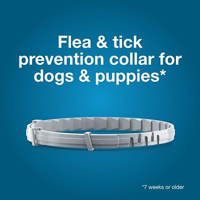 Image showing  Vet-Recommended Flea and Tick Treatment/Prevention Collar for Large Dogs Over 18 lb., 8 Months Protection