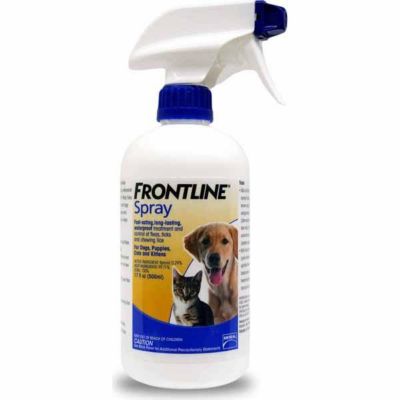 frontline cat treatment