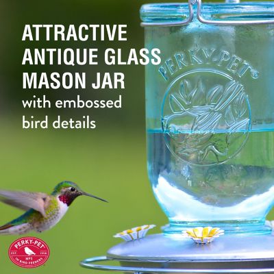 Image showing  32 oz. Mason Jar Hummingbird Feeder