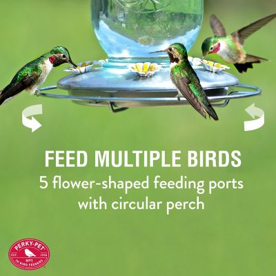 Image showing  32 oz. Mason Jar Hummingbird Feeder