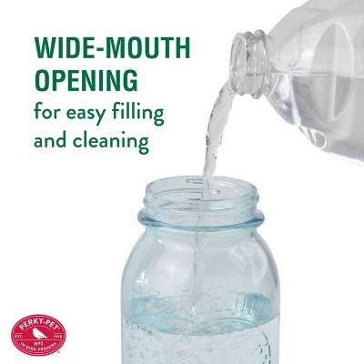 Image showing  32 oz. Mason Jar Hummingbird Feeder