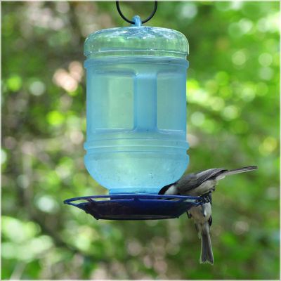 Image showing  1.5 qt. Water Cooler Bird Waterer