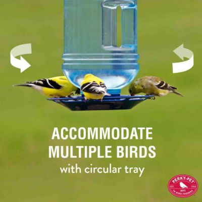 Image showing  1.5 qt. Water Cooler Bird Waterer