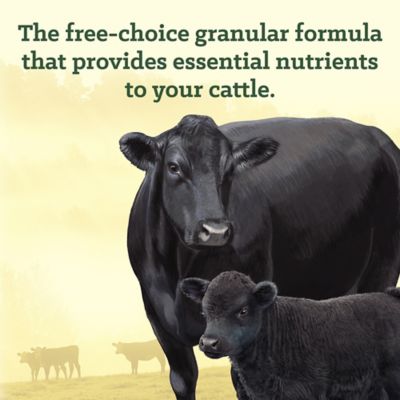 Image showing  Cattle All-Purpose Mineral, 50 lb.