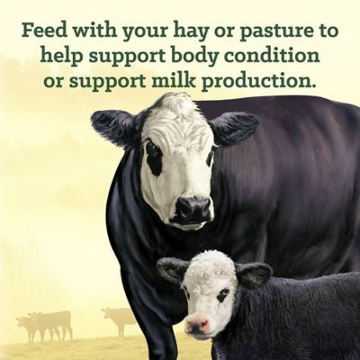 Image showing  Cattle Cube Supplement, 50 lb.