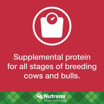 Image showing  Cattle Cube Supplement, 50 lb.