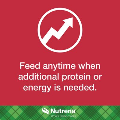 Image showing  Cattle Cube Supplement, 50 lb.