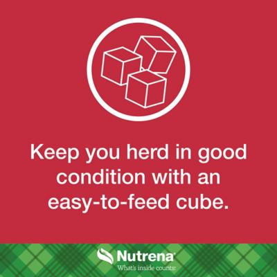 Image showing 5 th Nutrena NutreBeef Cattle Cube Supplement, 50 lb.