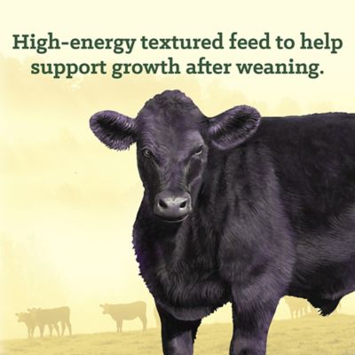 Image showing  Grower/Finisher Cattle Supplement, 50 lb.