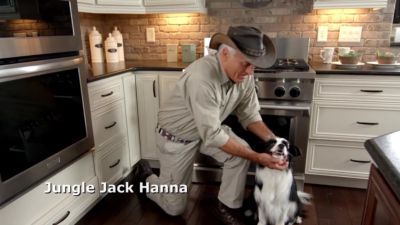 Image showing  8 in. Roasted Pork Skin Roll Dog Chew Treat, 1 ct.