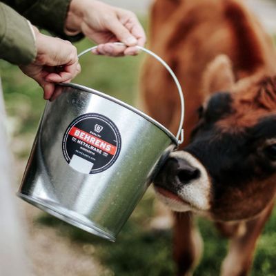 Image showing Galvanized Pail, 5 qt.