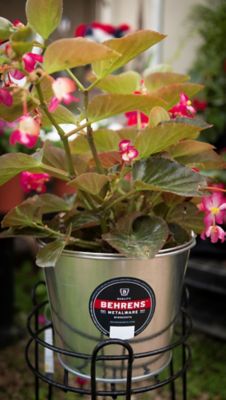 Image showing Galvanized Pail, 5 qt.