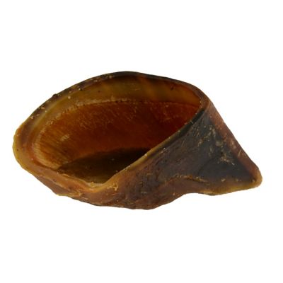 Image showing  Beef Hooves Dog Chew Treats, 10 ct.