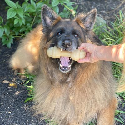 Image showing  Power Chew Big Knot Dog Chew Toy