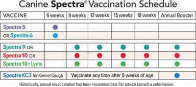 Durvet Canine Spectra 6 Vaccination 1 Dose With Syringe 52034 At Tractor Supply Co