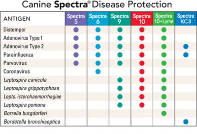 Durvet Canine Spectra 10 Dog Vaccine 1 Dose With Syringe 52033 At Tractor Supply Co