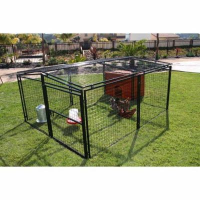 Image showing  Universal Welded Wire Chicken Pen