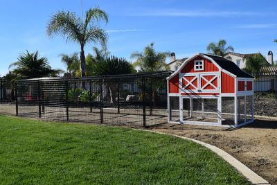 Image showing 6 th Rugged Ranch Universal Welded Wire Chicken Pen