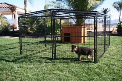Image showing 8 th Rugged Ranch Universal Welded Wire Chicken Pen