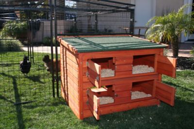 Rugged Ranch Wood Chicken Coop Hutch, 4 Chicken Capacity