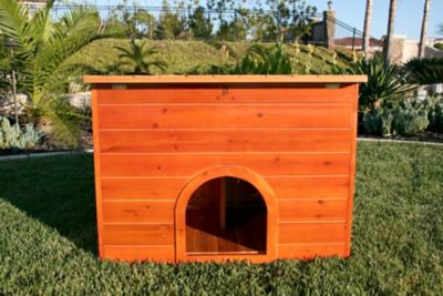 Image showing  Wood Chicken Coop Hutch, 4 Chicken Capacity