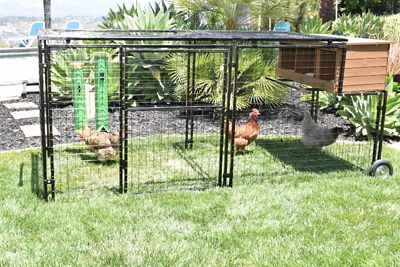 Image showing  Spring Fling Mobile Chicken Coop, 8 Chicken Capacity