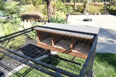 Image showing  Spring Fling Mobile Chicken Coop, 8 Chicken Capacity
