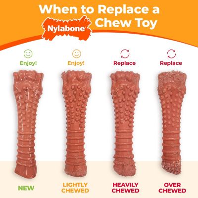 Image showing 5 th Nylabone Durachew Peanut Butter Wolf Pack