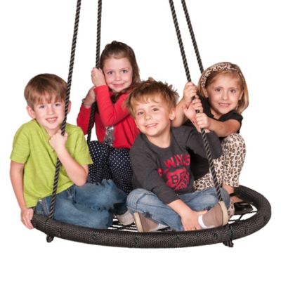 Image showing  Web Riderz Web Swing, 600 lb. Capacity, Black, 39 in. x 39 in. x 72 in., 16 lb., Ages 5+