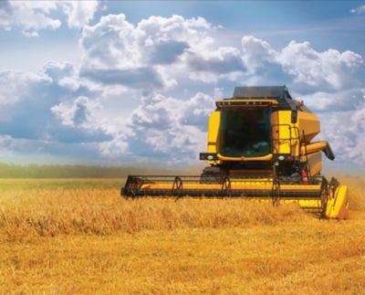 Image showing  12 oz. Black Specialty Farm & Implement Spray Paint, Low Gloss