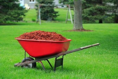 Image showing  1 qt. Ford Red Specialty Farm & Implement Paint, Gloss