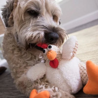 Image showing  Checkers Fat White Rooster Durable Soft Tough Squeaker Plush Dog Toy, Chew-Resistant, Reinforced Seams, Small, White