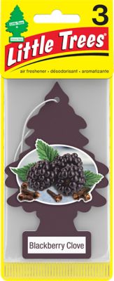 Little Trees 3 Pk Blackberry Clove