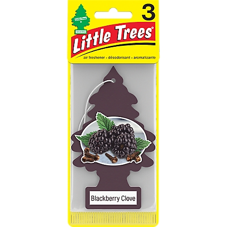 Little Trees 3 Pk Blackberry Clove