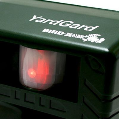 Image showing 5 th Bird-X Yard Gard Ultrasonic Electronic Deer, Rabbit, Raccoon, Squirrel and Rabbit Repeller, 4,000 sq. ft.